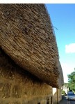 Detail of a thatched roof