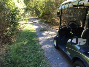 Still have some more work to do.